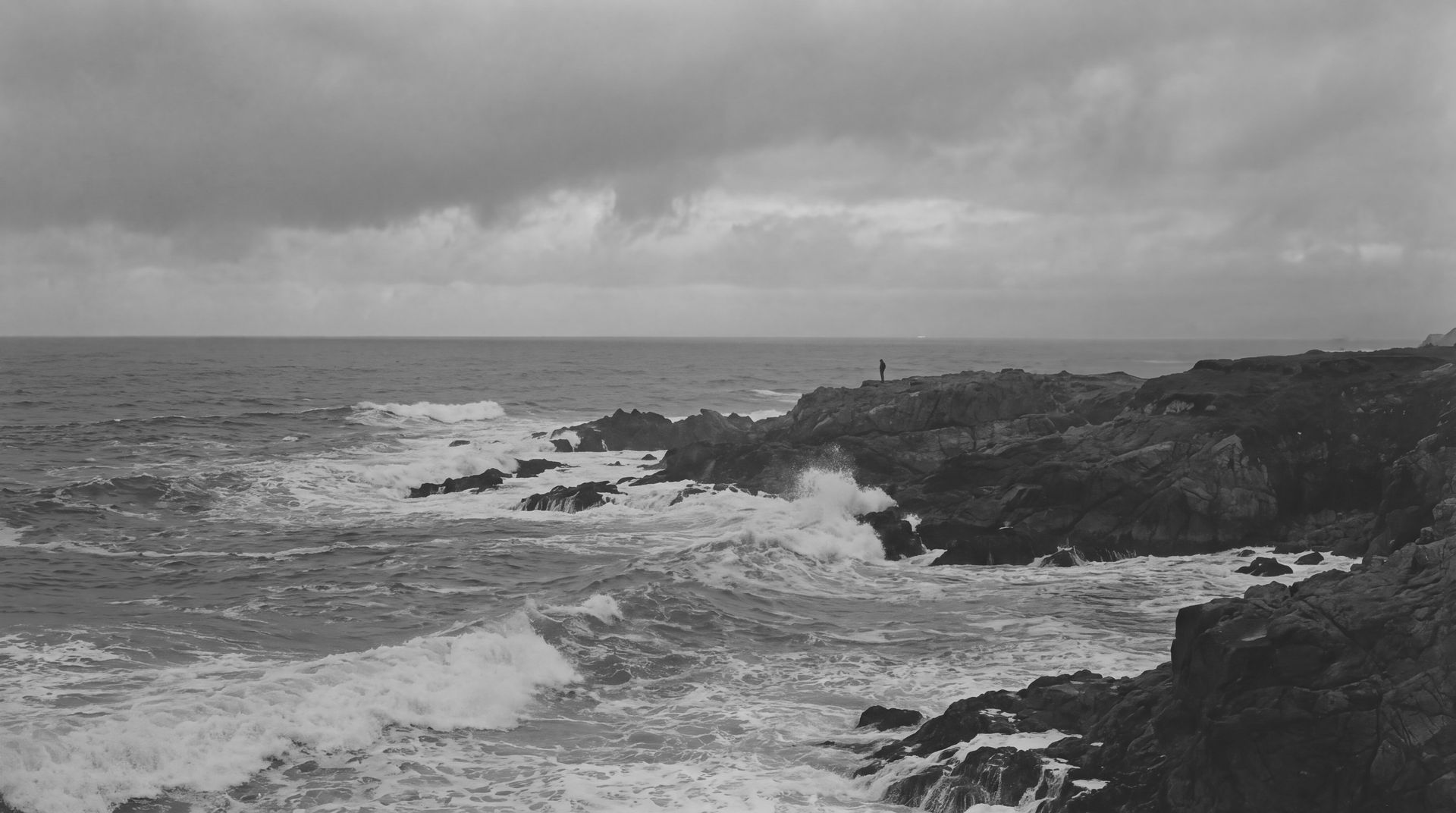 Landscape: waves breaking on a rocky coast